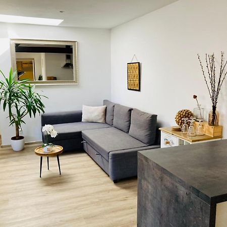 Vip Apartment In Old Town With Free Parking 布拉迪斯拉发 外观 照片