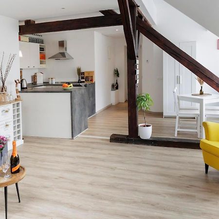 Vip Apartment In Old Town With Free Parking 布拉迪斯拉发 外观 照片