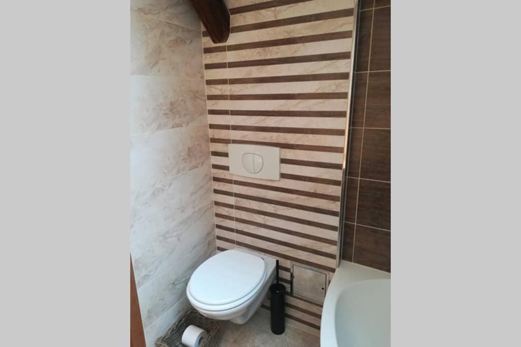 Vip Apartment In Old Town With Free Parking 布拉迪斯拉发 外观 照片