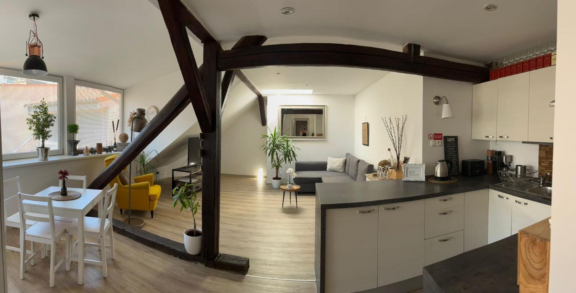 Vip Apartment In Old Town With Free Parking 布拉迪斯拉发 外观 照片
