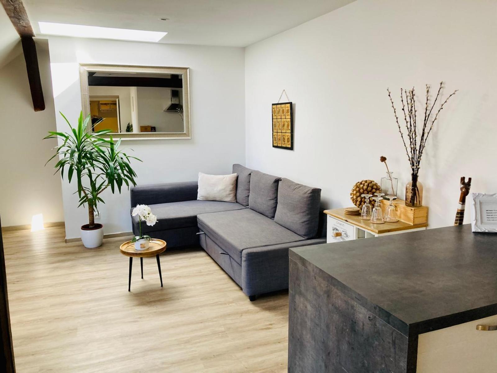 Vip Apartment In Old Town With Free Parking 布拉迪斯拉发 外观 照片