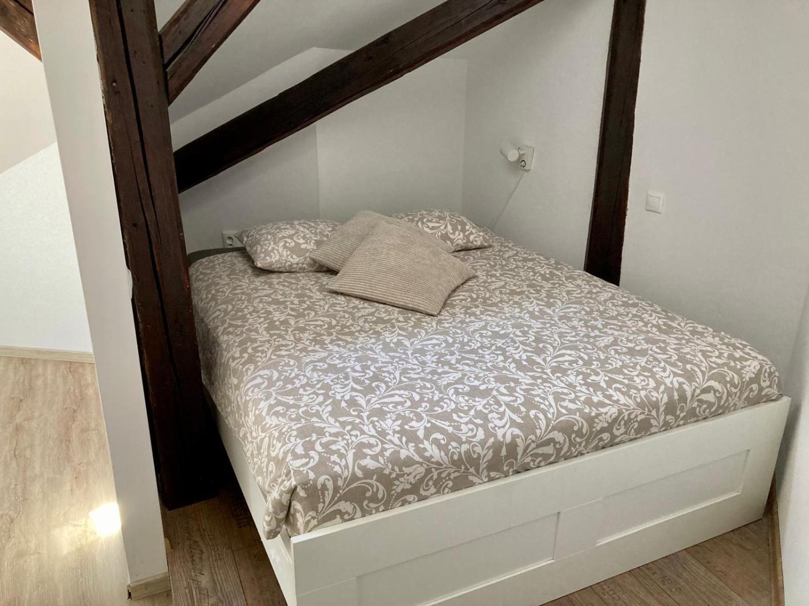 Vip Apartment In Old Town With Free Parking 布拉迪斯拉发 外观 照片