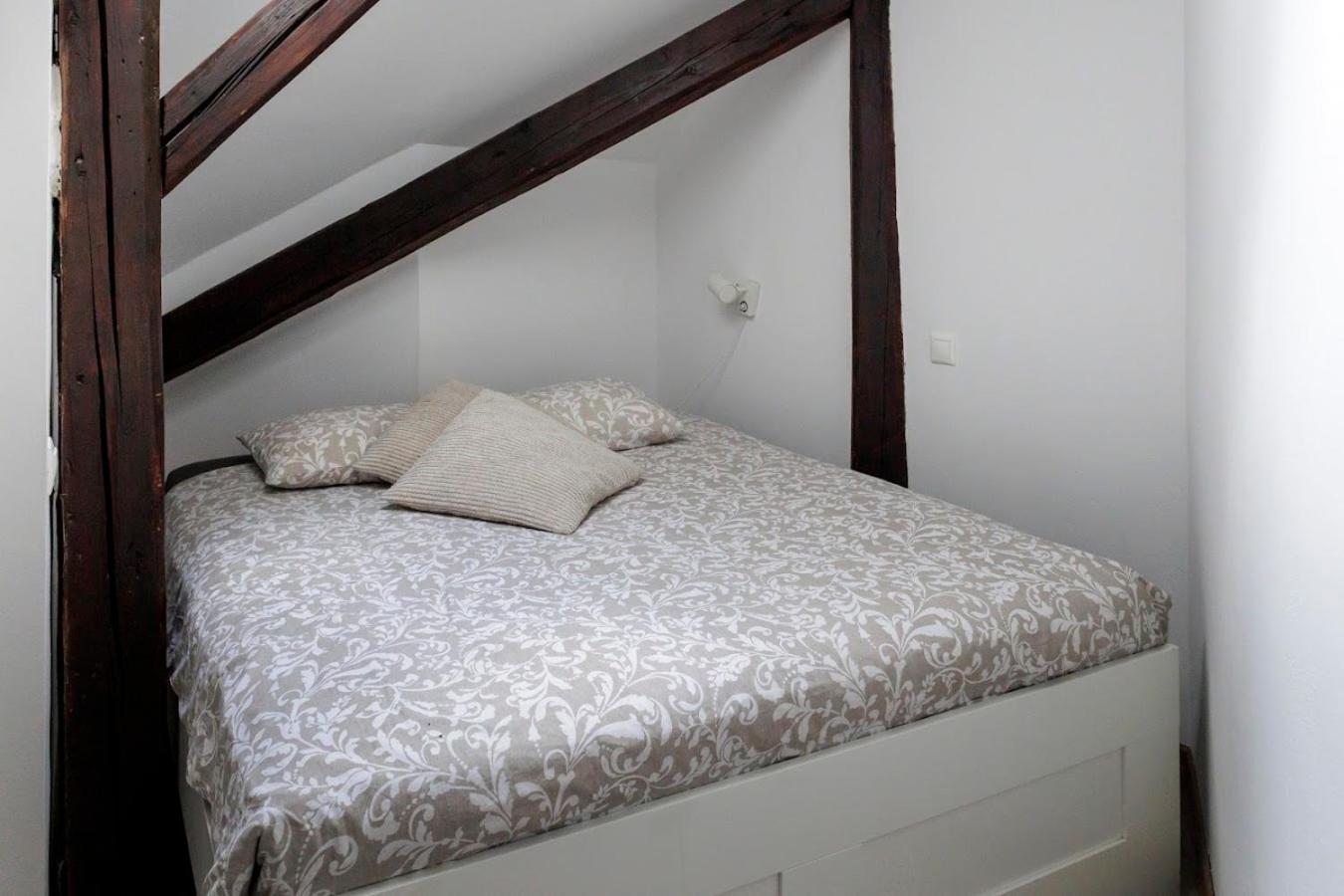 Vip Apartment In Old Town With Free Parking 布拉迪斯拉发 外观 照片