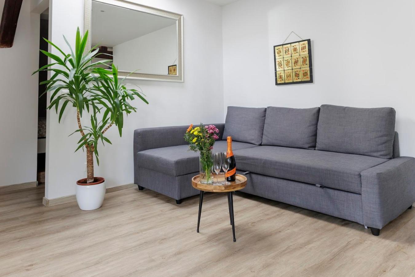 Vip Apartment In Old Town With Free Parking 布拉迪斯拉发 外观 照片