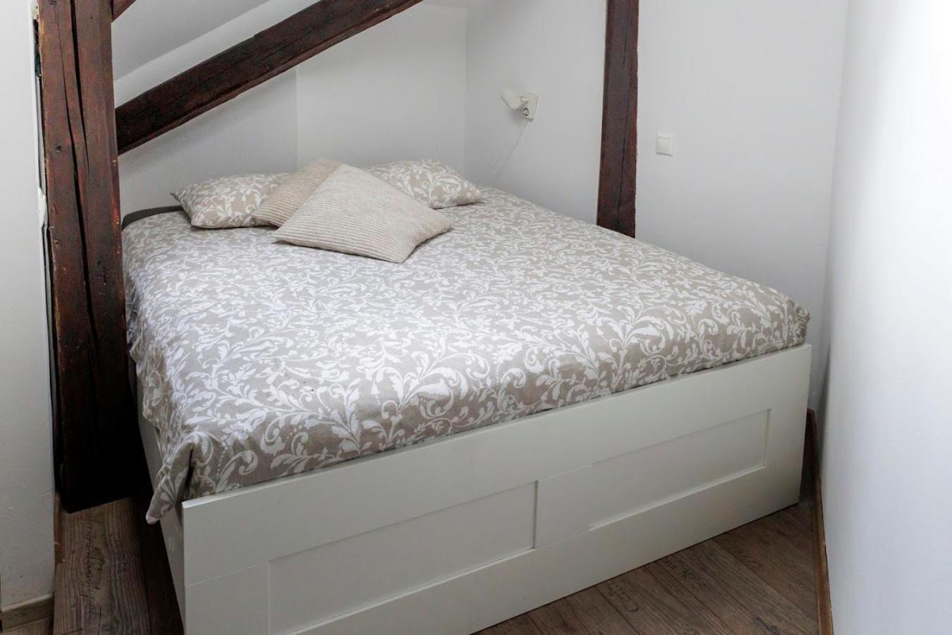 Vip Apartment In Old Town With Free Parking 布拉迪斯拉发 外观 照片