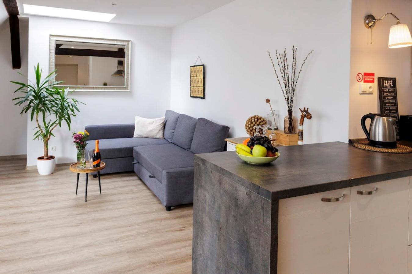 Vip Apartment In Old Town With Free Parking 布拉迪斯拉发 外观 照片