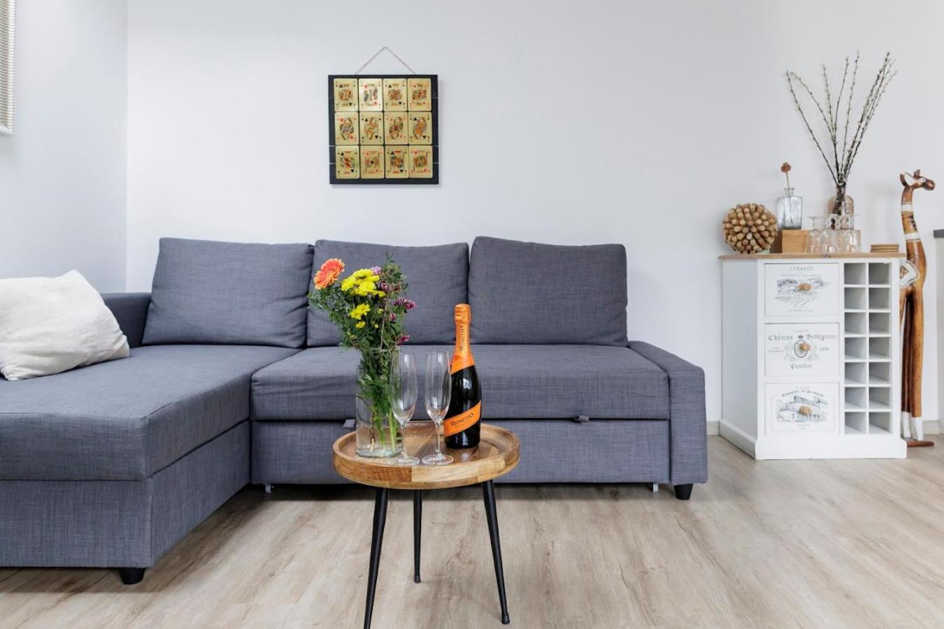 Vip Apartment In Old Town With Free Parking 布拉迪斯拉发 外观 照片