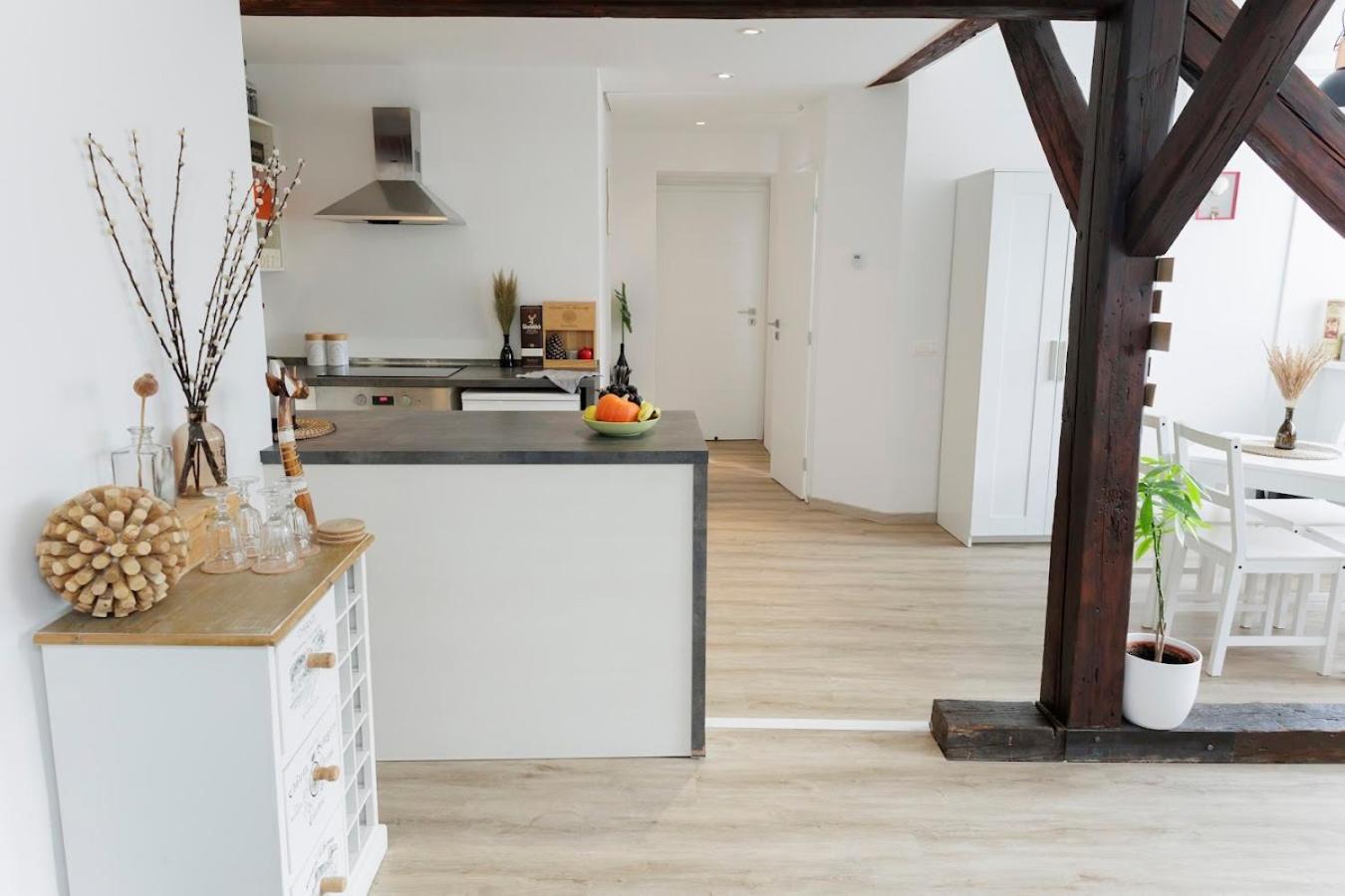 Vip Apartment In Old Town With Free Parking 布拉迪斯拉发 外观 照片