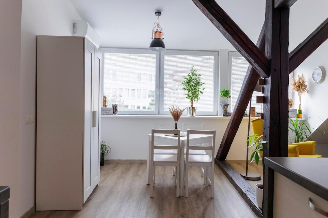 Vip Apartment In Old Town With Free Parking 布拉迪斯拉发 外观 照片