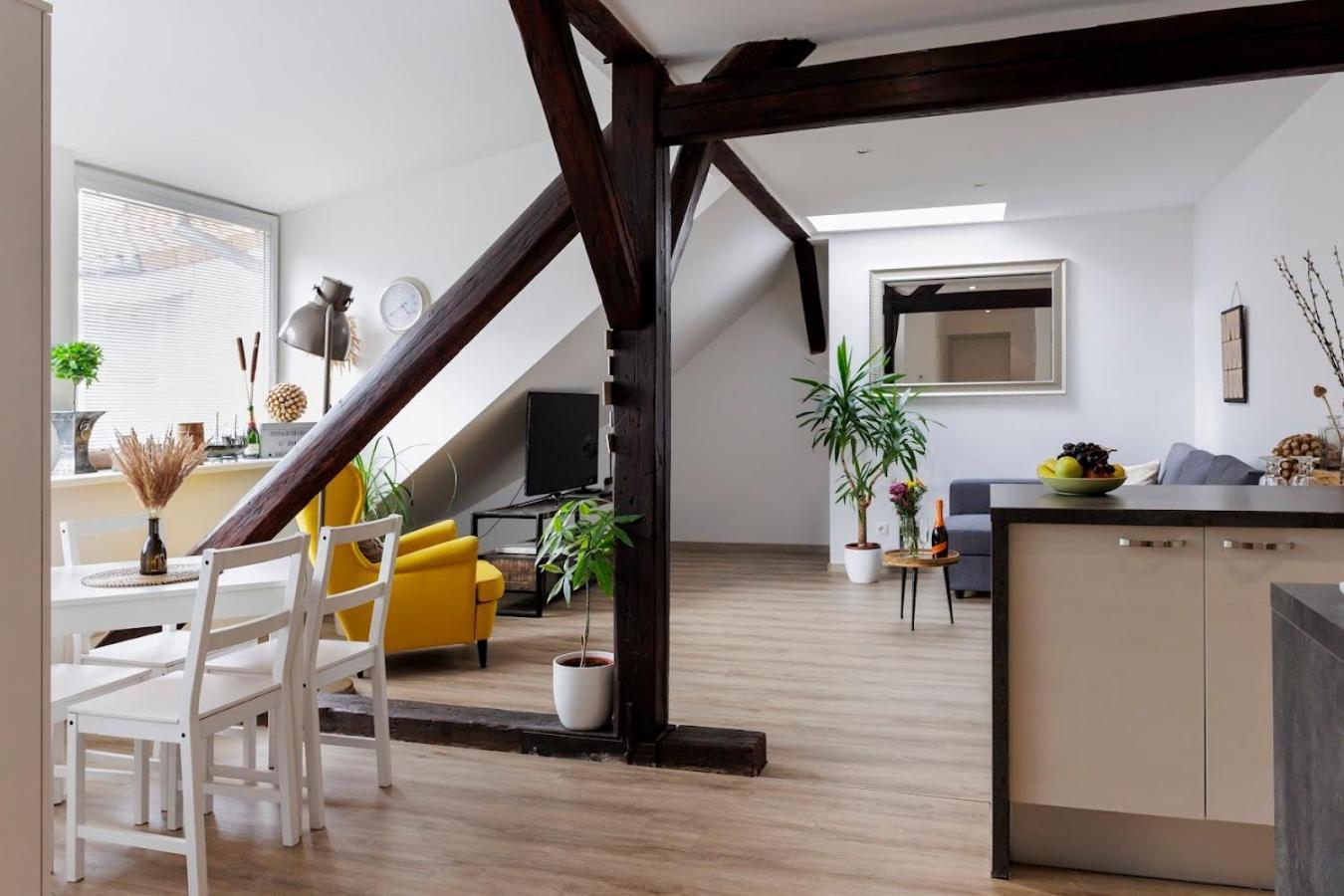 Vip Apartment In Old Town With Free Parking 布拉迪斯拉发 外观 照片